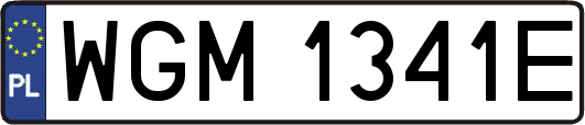 WGM1341E