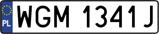 WGM1341J