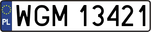 WGM13421