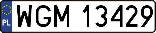 WGM13429