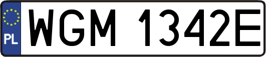 WGM1342E