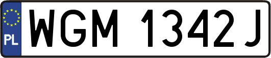 WGM1342J