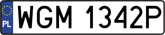 WGM1342P