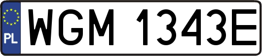 WGM1343E