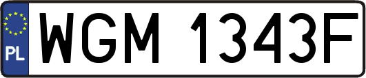 WGM1343F