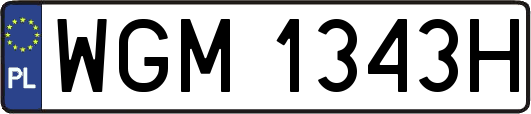 WGM1343H
