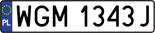 WGM1343J