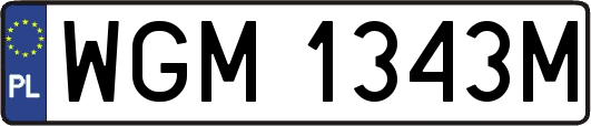 WGM1343M
