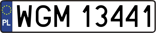 WGM13441