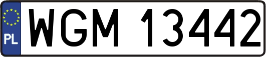 WGM13442