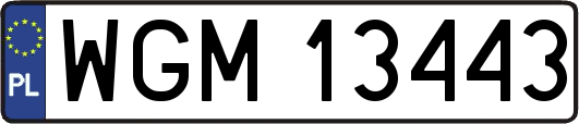 WGM13443