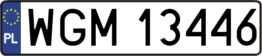 WGM13446