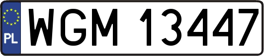 WGM13447