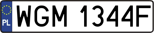 WGM1344F