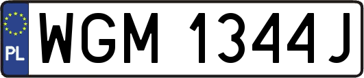WGM1344J
