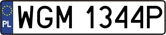 WGM1344P