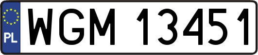 WGM13451