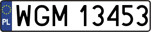 WGM13453