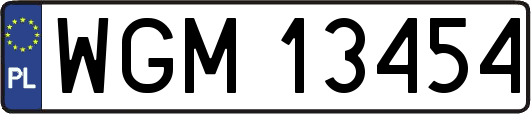 WGM13454