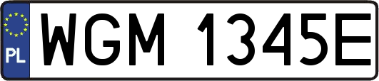 WGM1345E