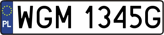 WGM1345G