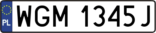 WGM1345J