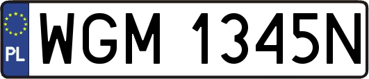 WGM1345N