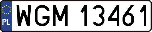 WGM13461