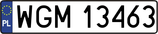 WGM13463