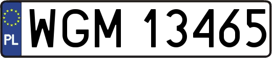 WGM13465