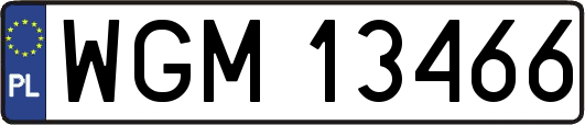 WGM13466
