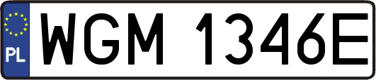 WGM1346E