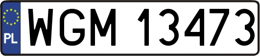 WGM13473
