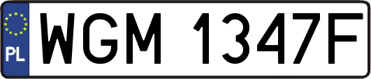 WGM1347F
