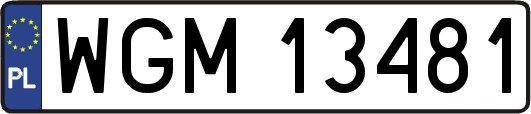 WGM13481