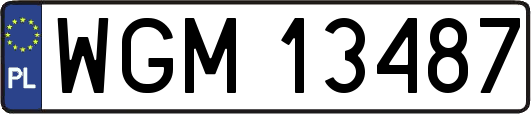 WGM13487