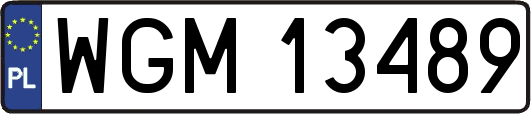 WGM13489