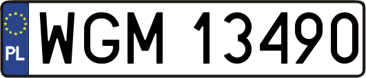 WGM13490