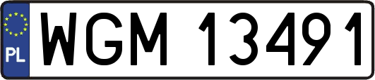 WGM13491