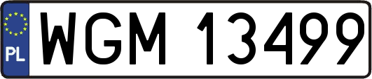 WGM13499