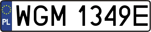WGM1349E