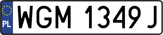 WGM1349J