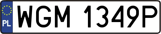 WGM1349P
