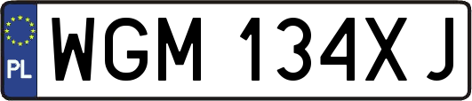 WGM134XJ
