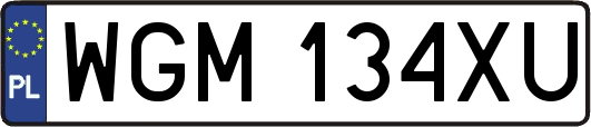 WGM134XU