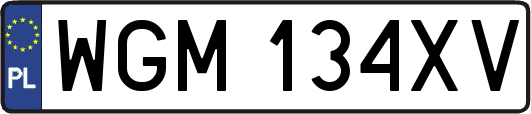 WGM134XV