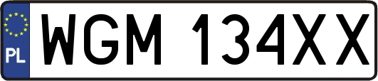 WGM134XX