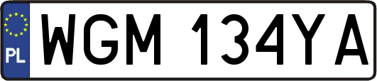 WGM134YA