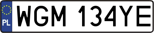 WGM134YE