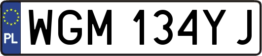 WGM134YJ